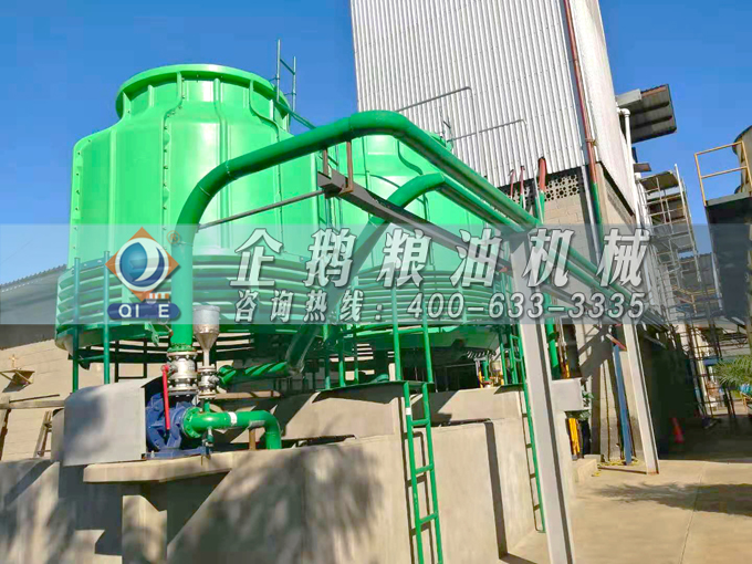 如何投資建設(shè)棕櫚油加工廠？企鵝糧油機(jī)械在線為您答疑解惑(圖3)
